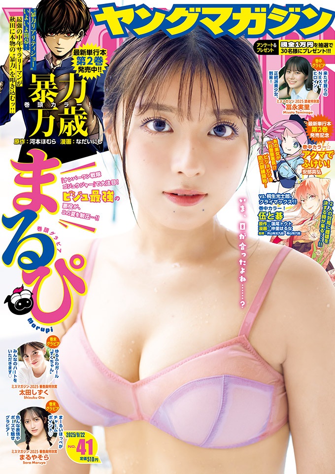 表紙