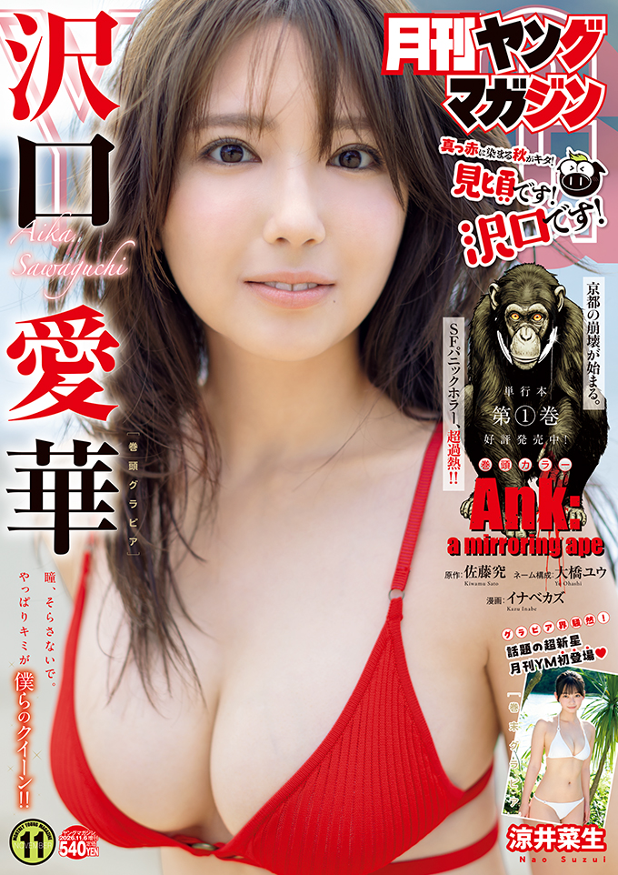 表紙